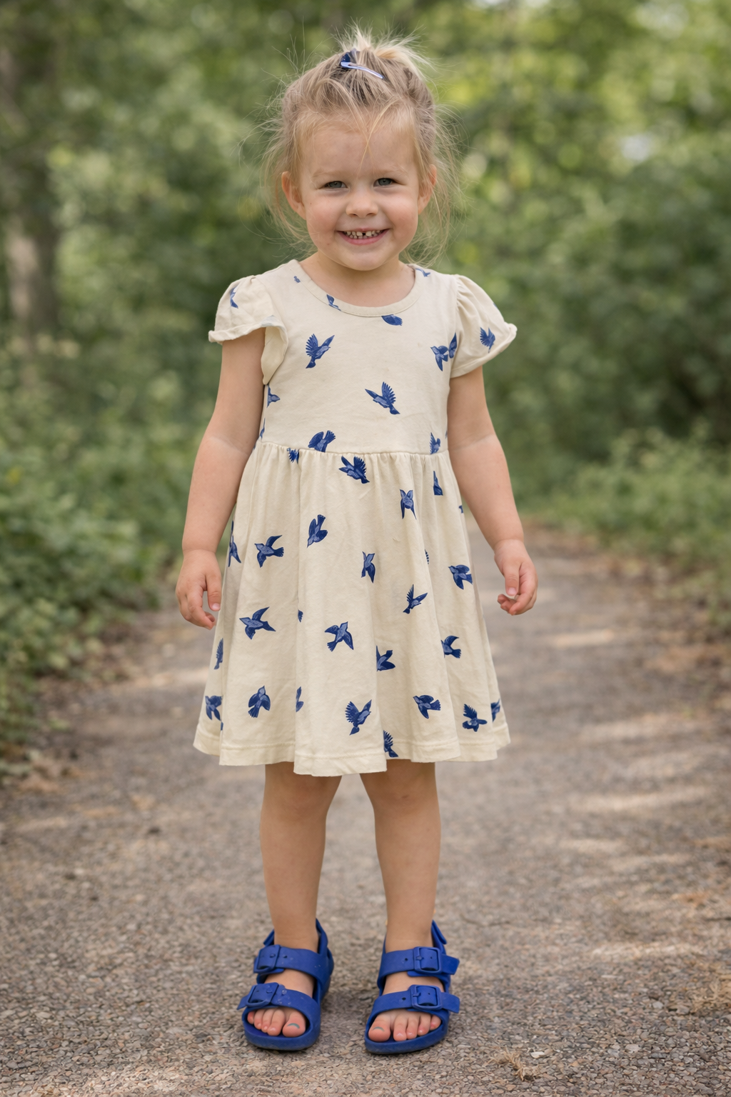 Bluebirds Twirl Dress
