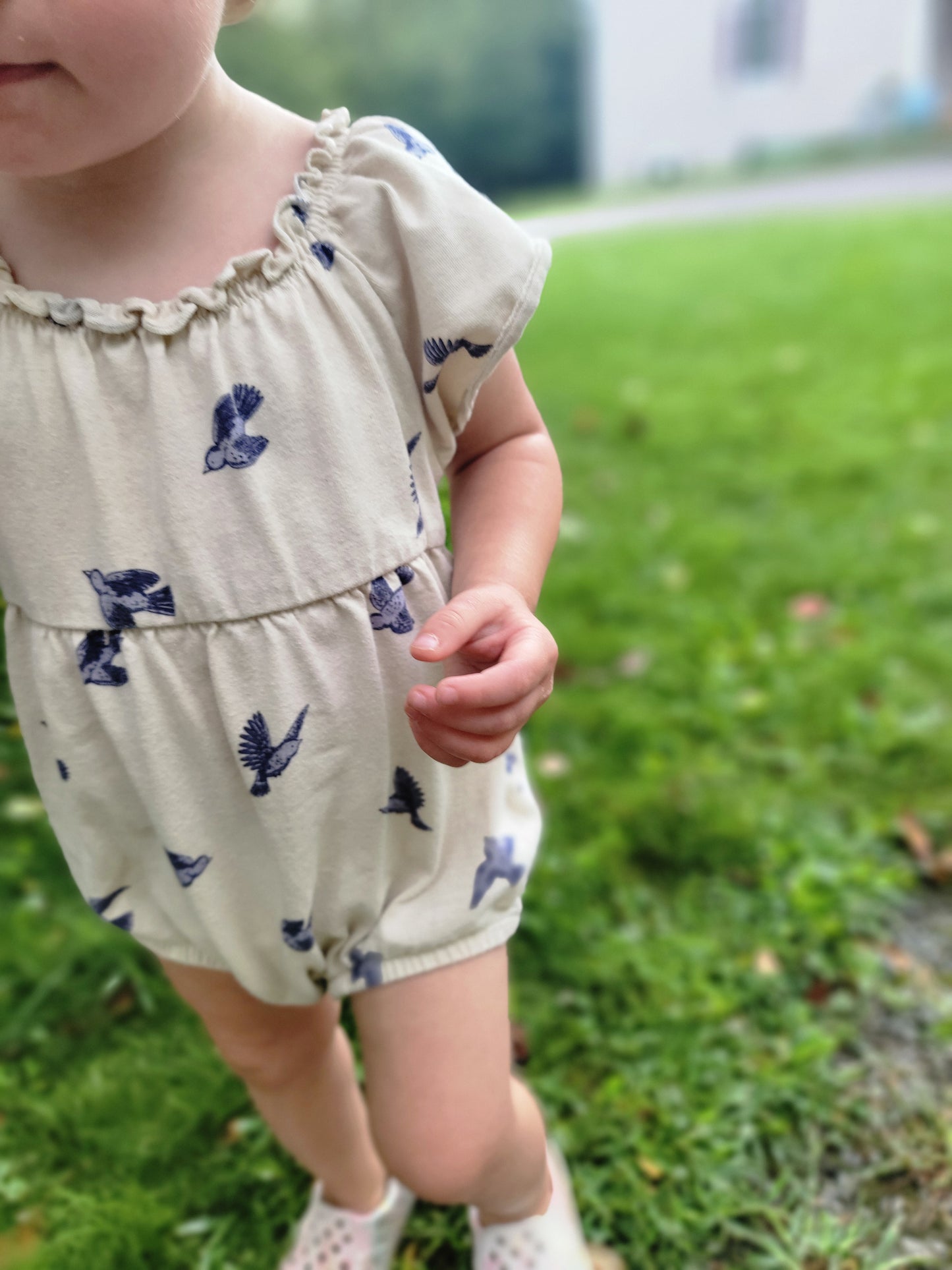 Bluebird Flutter Sleeve Romper – Toddler & Infant Girls Cotton Romper